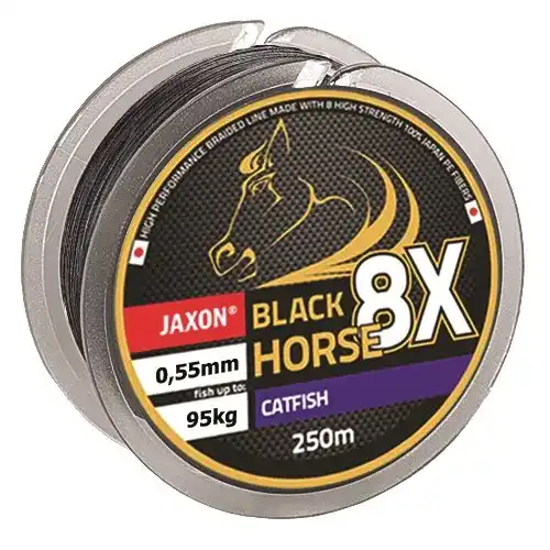 Die beste Wallerschnur Jaxon Geflochtene Schnur Black Horse Catfish Wels Braided Line 2026 Test Bestseller Wallerschnur Jaxon Geflochtene Schnur Black Horse Catfish Wels Braided Line