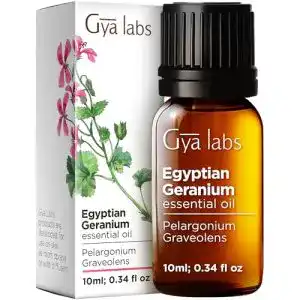 Geraniumöl Gya Labs Ägyptisches Geranien-Öl 10 ml 100% rein