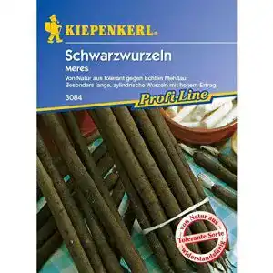 Schwarzwurzelsamen Kiepenkerl Schwarzwurzeln Meres