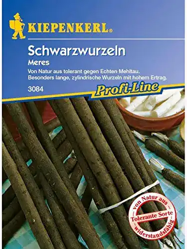Schwarzwurzelsamen Kiepenkerl Schwarzwurzeln Meres