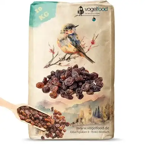 Die beste Rosinen für Vögel Vogelfood 10 kg Rosinen 2026 Test Bestseller Rosinen für Vögel Vogelfood 10 kg Rosinen