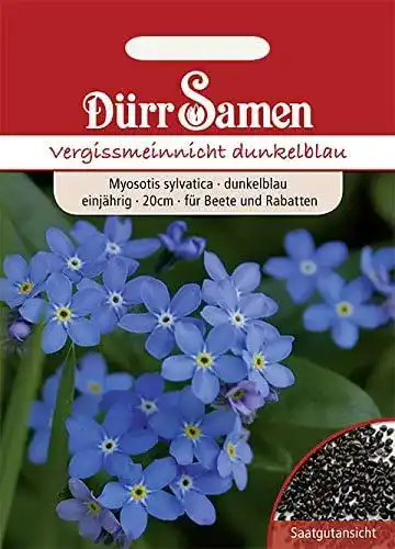 Vergissmeinnicht-Samen Dürr-Samen Dürr Samen 0755 dunkelblau