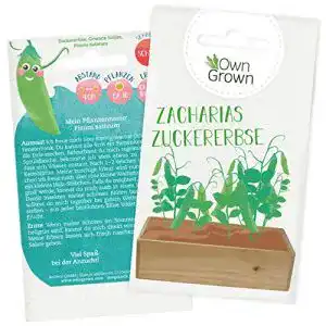 Erbsen-Samen OwnGrown Zuckererbsen Samen