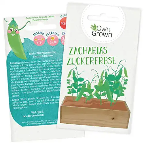 Erbsen-Samen OwnGrown Zuckererbsen Samen