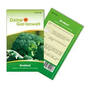 Brokkoli-Samen Deine Gartenwelt Brokkoli Atlantis F1 Samen