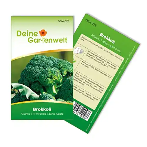 Brokkoli-Samen Deine Gartenwelt Brokkoli Atlantis F1 Samen