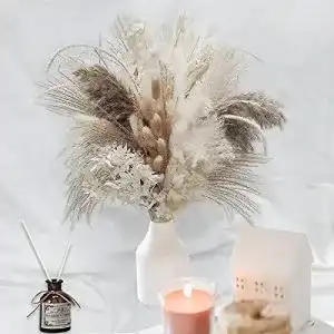 Trockenblumen-Strauß pampas Natürliche gras