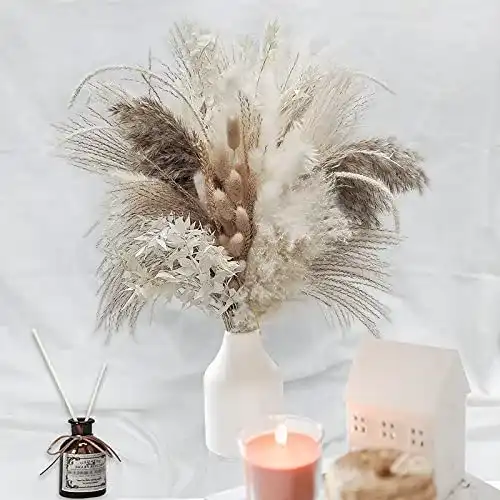 Trockenblumen-Strauß pampas Natürliche gras