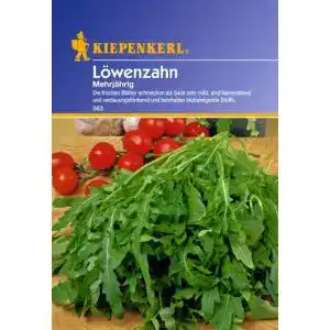 Löwenzahn-Samen Kiepenkerl Löwenzahn mehrjährig