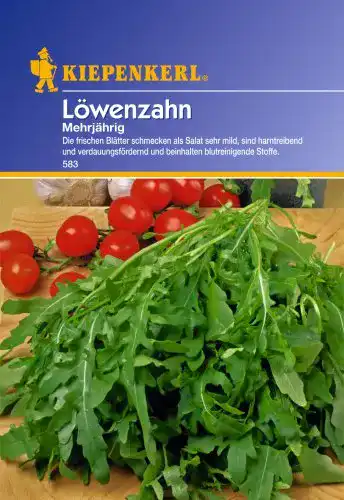 Löwenzahn-Samen Kiepenkerl Löwenzahn mehrjährig