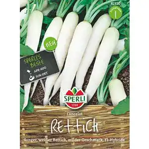 Rettich-Samen Sperli 82320 Premium Rettich Samen Lancelot