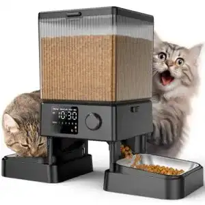 Futterautomat für 2 Katzen oneisall 5L Futterautomat 2 Näpfe