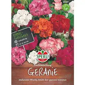 Geranien-Samen Sperli Blumensamen Geranie Prachtmischung