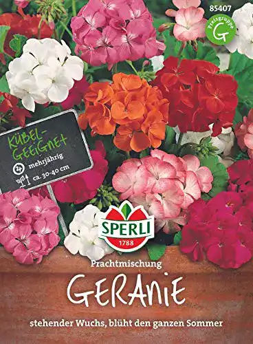 Geranien-Samen Sperli Blumensamen Geranie Prachtmischung