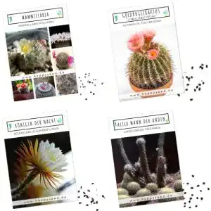Kakteen-Samen HappySeed Außergewöhnliche Samen, 4er Set