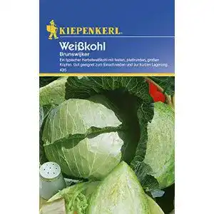 Weißkohl-Samen Kiepenkerl Kohlsamen, Weißkohl Brunswijker