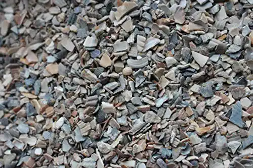 Muschelgrit LanDixx Muschelkalk 5 kg für Hühner Muschelschrot