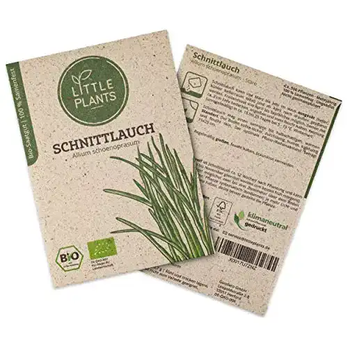 Schnittlauch-Samen Little Plants BIO-Schnittlauchsamen