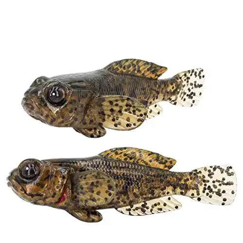 Die beste Angelköder FISHN 5er Set GOBYone 7,6cm 9gr Ultra Realistisch 2026 Test Bestseller Angelköder FISHN 5er Set GOBYone 7,6cm 9gr Ultra Realistisch