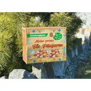 Pilzkultur Pilzmännchen XXL Bio Steinchampignon 10 kg