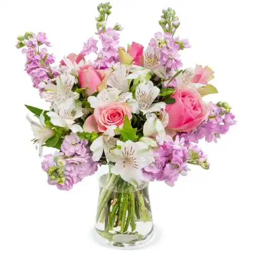 Die beste Blumenstrauß Blume Ideal Blütenmeer, Violette Levkojen, Pinke Rosen 2026 Test Bestseller Blumenstrauß Blume Ideal Blütenmeer, Violette Levkojen, Pinke Rosen