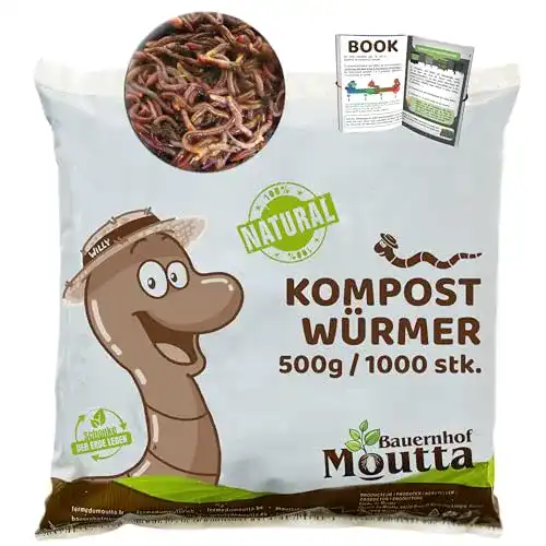 Kompostwürmer WormBox 1,000 STK. (500g) | Regenwürmer Eisenia