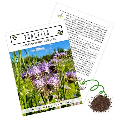 Phacelia-Samen HappySeed Phacelia Samen Bienenfreund