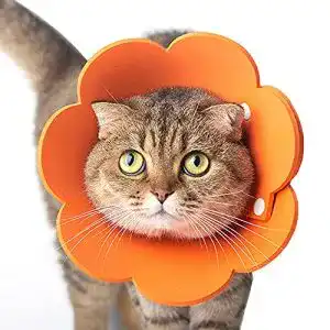 Halskrause Katze Tecatty, verstellbar von 14-35 cm Leichtgewicht