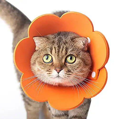 Halskrause Katze Tecatty, verstellbar von 14-35 cm Leichtgewicht