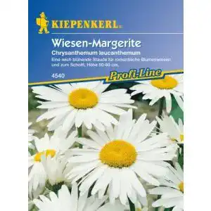 Margeritensamen Kiepenkerl Margeriten ‘Wiesen-Margerite’
