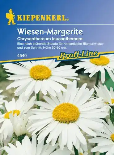Margeritensamen Kiepenkerl Margeriten ‘Wiesen-Margerite’