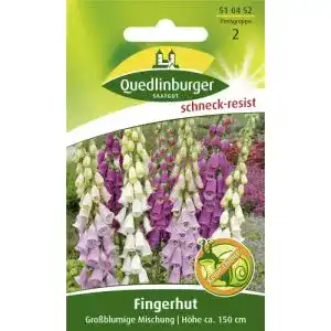 Fingerhut-Samen Quedlinburger Fingerhut, Großblumige Mischung