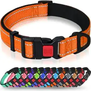 Hundehalsband Taglory, Weich Gepolstertes Neopren, verstellbar