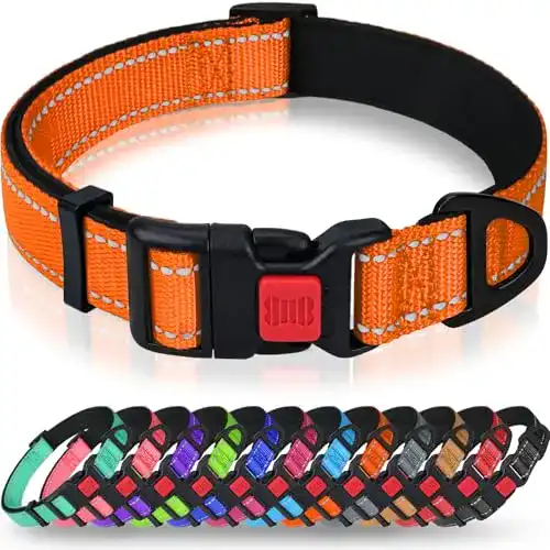Hundehalsband Taglory, Weich Gepolstertes Neopren, verstellbar