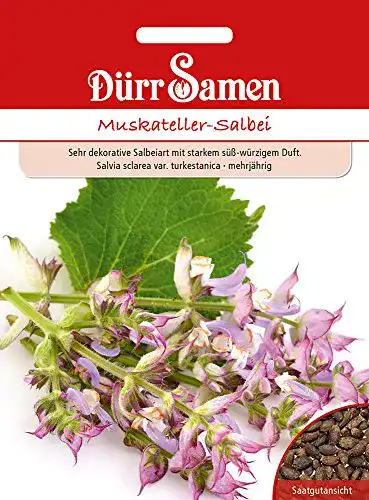 Salbei-Samen Dürr-Samen Dürr Samen 4366 Muskateller-Salbei