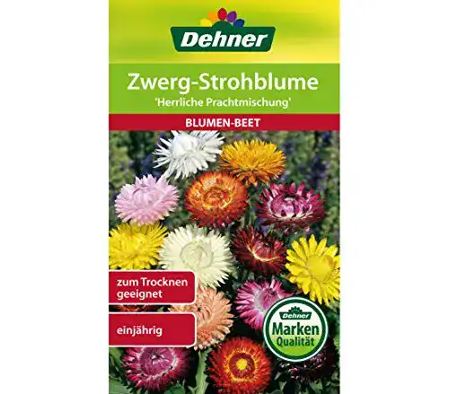 Die beste Strohblumen-Samen Dehner Blumen-Saatgut, Zwerg-Strohblume 2026 Test Bestseller Strohblumen-Samen Dehner Blumen-Saatgut, Zwerg-Strohblume