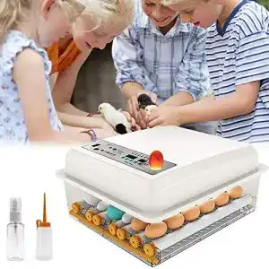 Brutmaschine PAKASEPT Inkubator, Vollautomatische 16 Eier