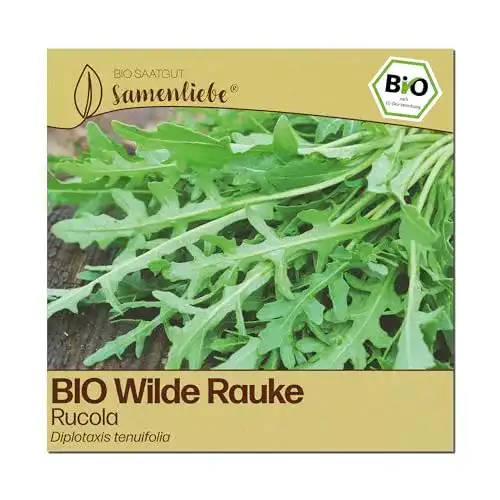 Rucola-Samen Samenliebe BIO Samen alte Sorte Wilde Rauke