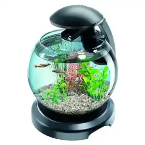 Aquarium Tetra Betta Cascade Globe