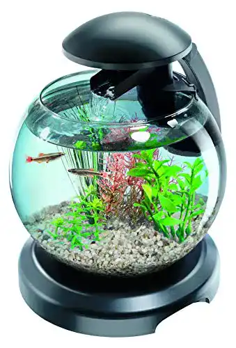 Aquarium Tetra Betta Cascade Globe