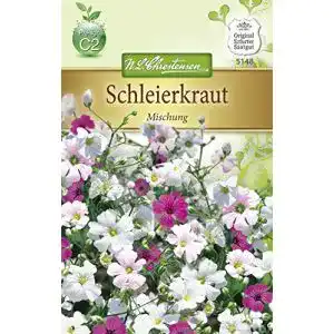 Schleierkraut-Samen Chrestensen Schleierkraut ‘Mischung’