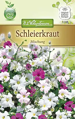 Schleierkraut-Samen Chrestensen Schleierkraut ‘Mischung’