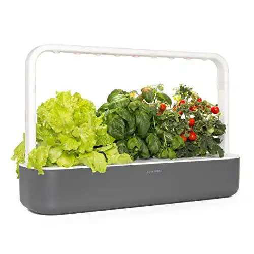 Smart Garden Click & Grow 4742793008899 9, Dunkelgrau