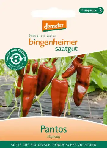 Bingenheimer Saatgut Bingenheimer Saatgut – Paprika Pantos – Gemüse