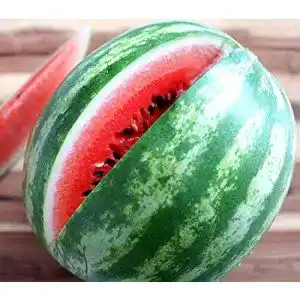 Wassermelonen-Samen Samen Schenker, Crimson Sweet, 10 Samen