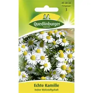 Kamille-Samen Quedlinburger Echte Kamille Hoher Wirkstoffgehalt