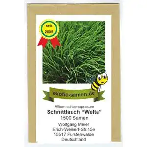 Schnittlauch-Samen exotic-samen Schnittlauch Welta, 1500 Samen
