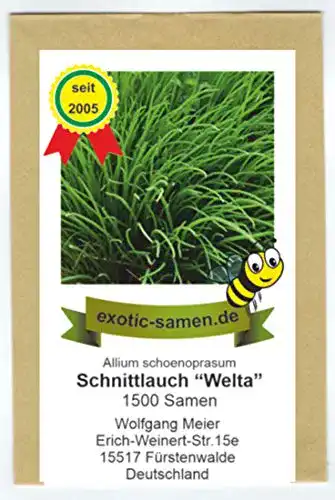Schnittlauch-Samen exotic-samen Schnittlauch Welta, 1500 Samen