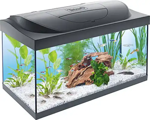 Aquarium Tetra Starter Line 54 L Komplett-Set mit LED-Beleuchtung