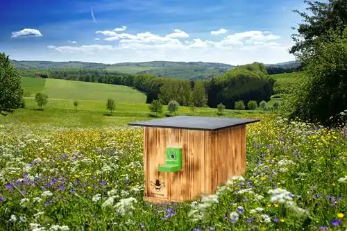 Die beste Hummelhaus N / A XXXL Hummelkasten Hummelhotel, geflammt 2026 Test Bestseller Hummelhaus N / A XXXL Hummelkasten Hummelhotel, geflammt